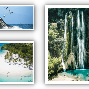 Aventure 3-en-1 en République Dominicaine : Baleines, cascade El Limon et plage Cayo Levantado